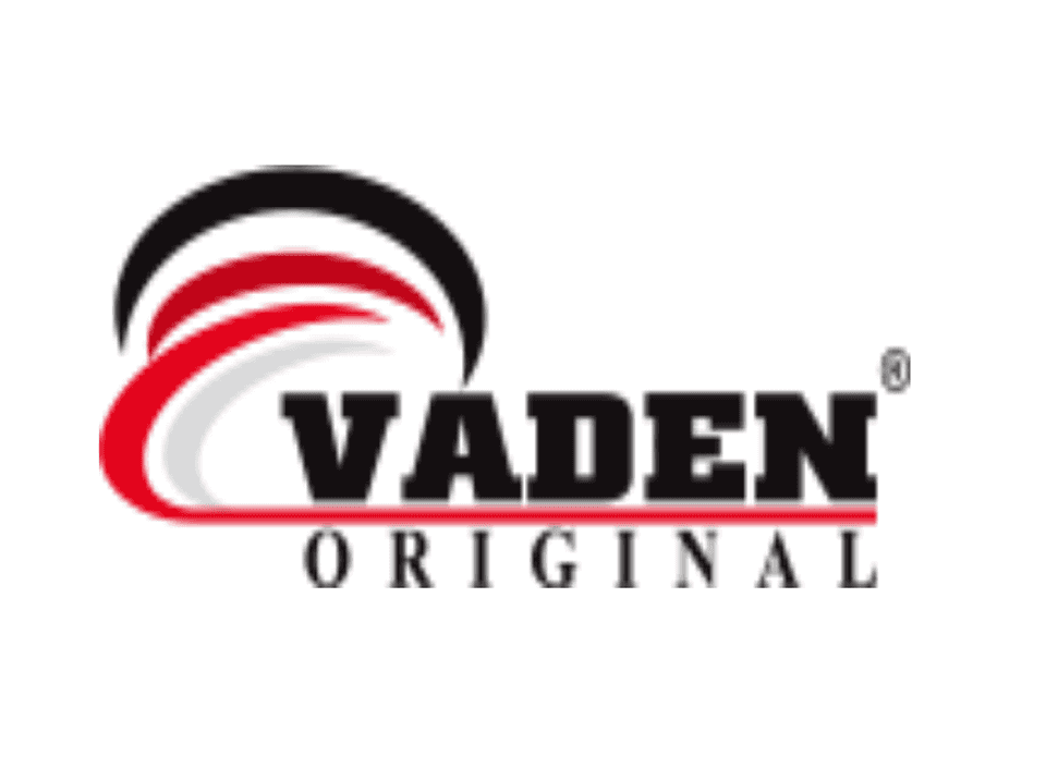 Vaden